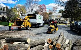 Reliable Taft Heights, CA Tree Care Solutions